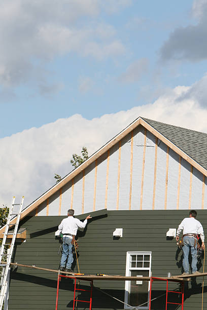 Best Vinyl Siding Installation  in Cedarville, OH